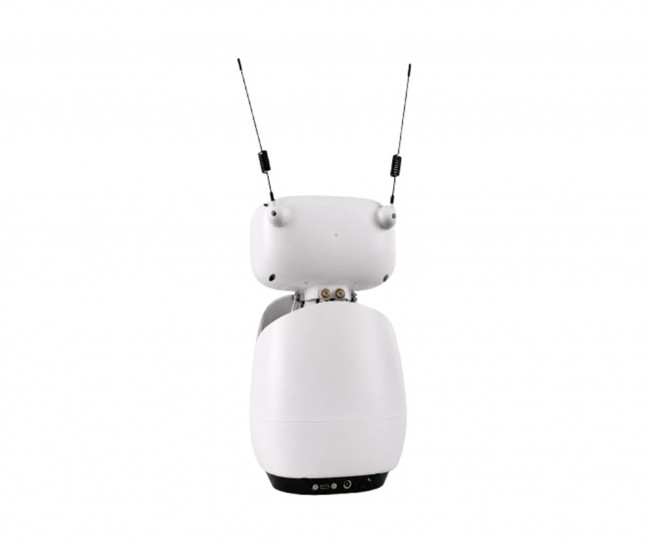 Настільний ШІ -робот Reachy Mini Wireless